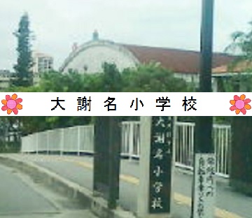 浦城小学校学校