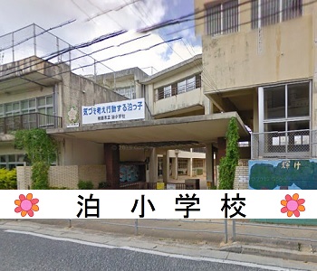 泊小学校