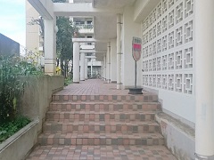 マンション名５