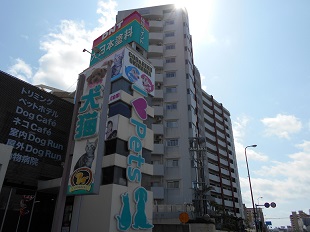 マンション名２